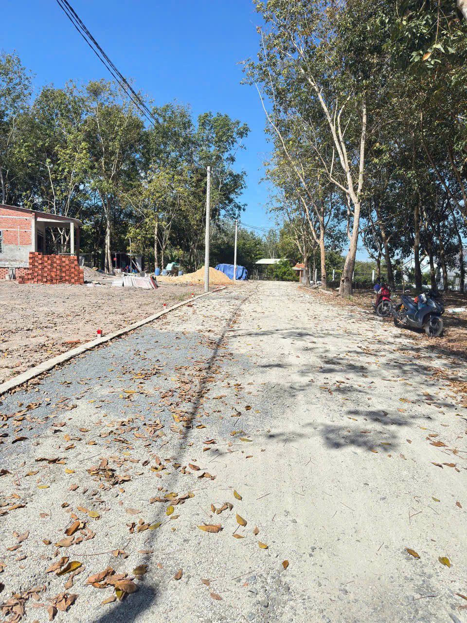 Bán đất quận Tân Bình, thành phố Hồ Chí Minh giá 230 triệu