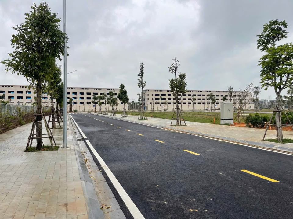 Bán nhanh lô đất tái định cư mặt bằng 3514 - Nam Ngạn, giá 4.45 tỷ