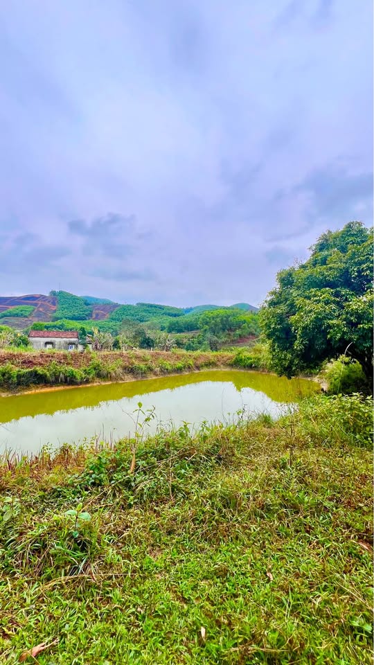 Đất nghỉ dưỡng 6000m2 ven Hồ Ghềnh Chè, cơ hội đầu tư sinh lời