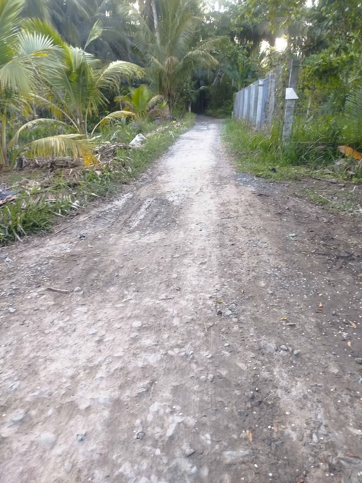 Cần bán đất Hòa Trị, Lương Hòa, Giồng Trôm, Bến Tre, giá 570 triệu