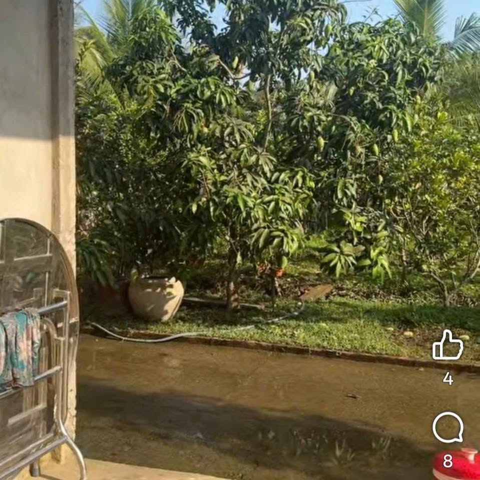 Bán đất huyện Châu Thành, tỉnh Bến Tre giá 450 triệu