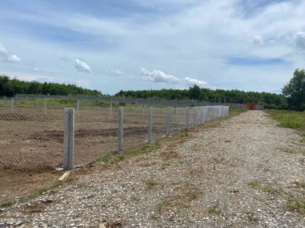 Bán nhà riêng huyện Đất Đỏ, tỉnh Bà Rịa, Vũng Tàu giá 890 triệu