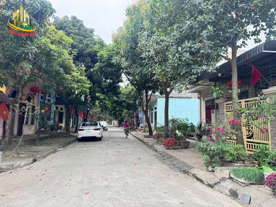 Bán đất Đông Sơn, Bích Đào, Ninh Bình, đường 7m