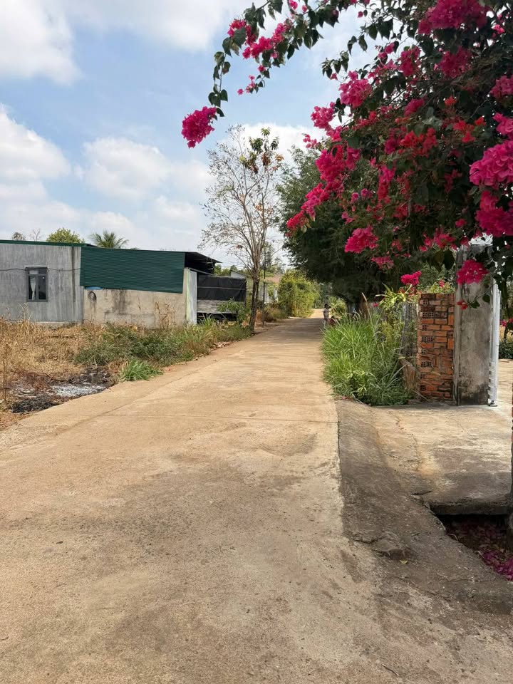 Bán đất thành phố Buôn Ma Thuột, tỉnh Đắk Lắk giá 550 triệu