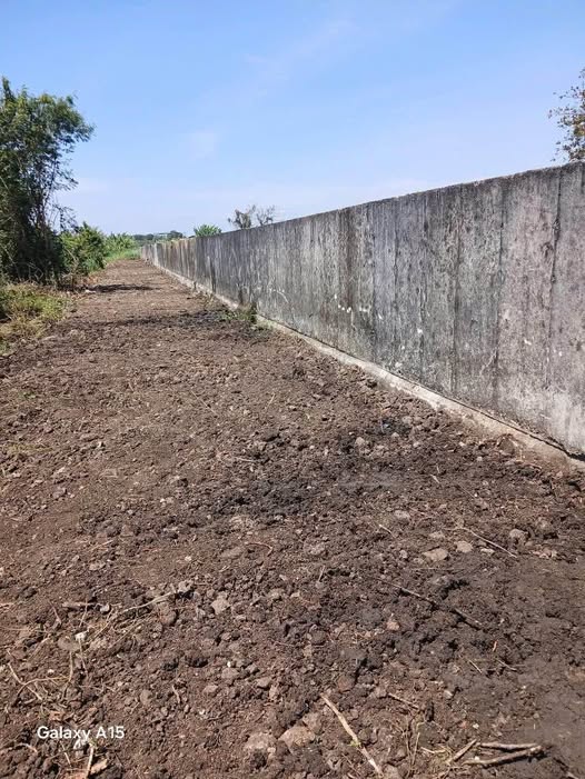 Bán nhà riêng huyện Châu Đức, tỉnh Bà Rịa, Vũng Tàu giá 390 triệu