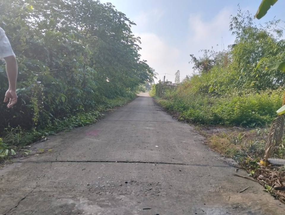 Đất ấp Hòa Thọ 5m x 42m, thổ cư 100%, ô tô tới tận giường, giá hời 290 củ