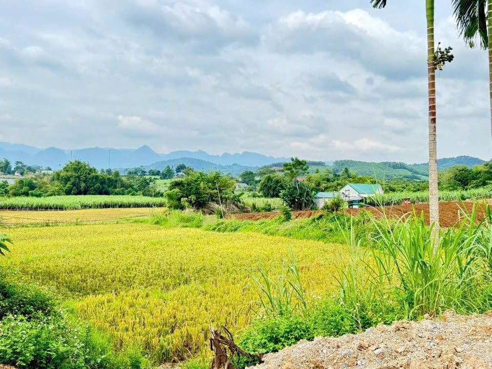 Bán đất huyện Tân Lạc, tỉnh Hòa Bình giá 300 triệu