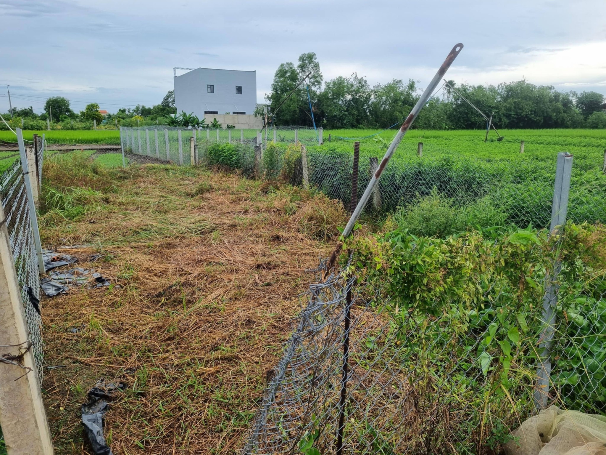 Chính chủ cần bán lô thổ cư đất 80m², sổ hồng riêng, giá 690 triệu