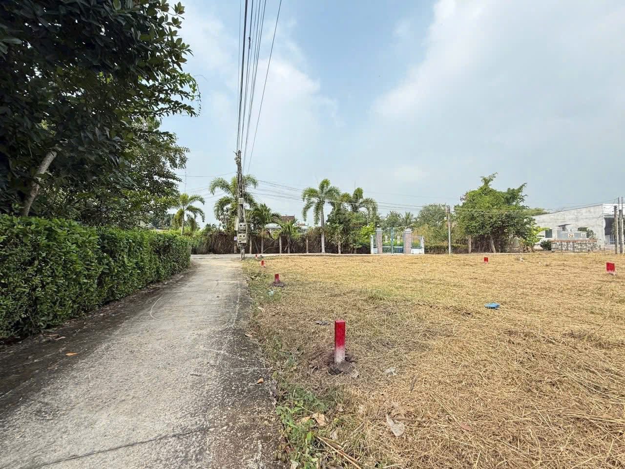 Bán 2 nền thổ cư sổ thể hiện lối đi 2.5m tại xã Phước Lâm, Cần Giuộc, giá 730 triệu