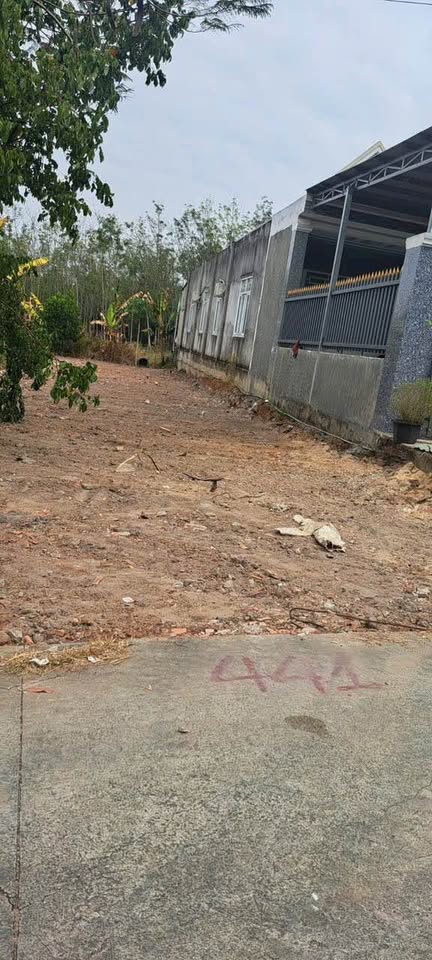 Bán đất vành đai khu công nghiệp Becamex, thích hợp mua đầu tư hoặc xây trọ