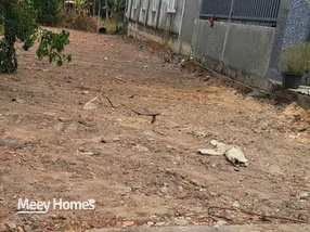 Bán đất vành đai khu công nghiệp Becamex, thích hợp mua đầu tư hoặc xây trọ