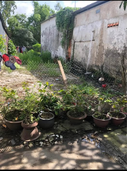 Bán liền kề thành phố Long Xuyên, tỉnh An Giang giá cả thương lượng