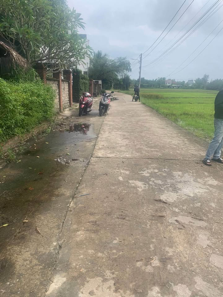 Bán đất view cánh đồng lúa Cẩm Thanh, Hội An, phù hợp xây villa, homestay