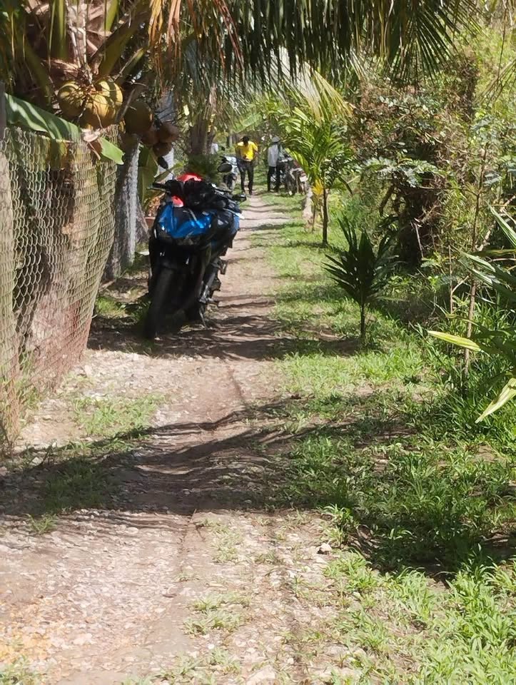 Bán đất huyện Mỏ Cày Bắc, tỉnh Bến Tre giá 330 triệu