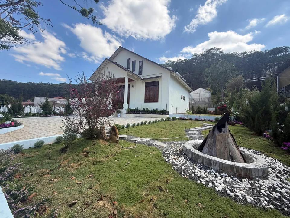 Bán gấp Villa view rừng thông Đà Lạt 570m2, ngang 17m, sân vườn rộng, đậu 3 ô tô