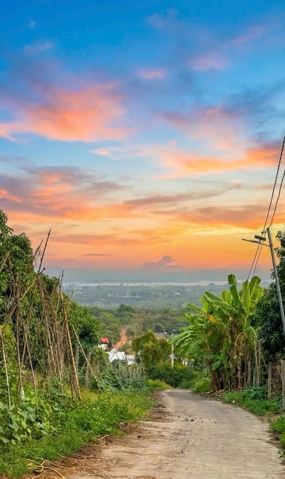 Cần bán vườn xoài tại La Ngà, Định Quán, Đồng Nai, giá 950 triệu