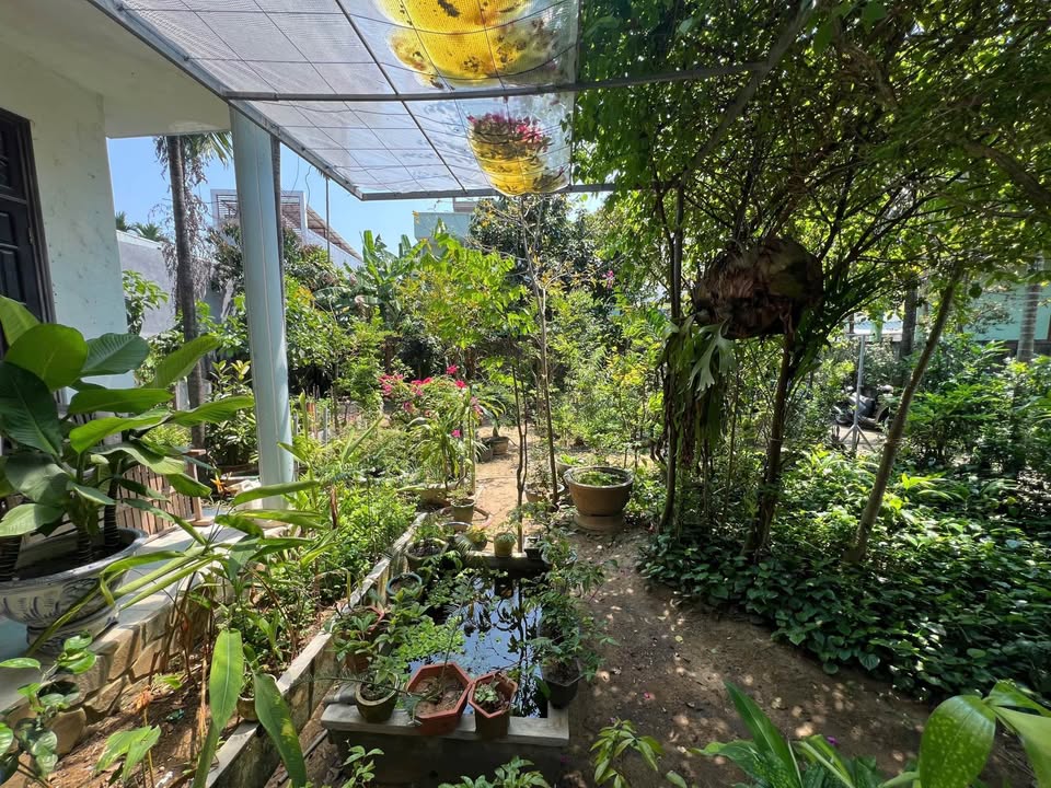 Cho thuê nhà sân vườn Nguyễn Phước Nguyên, Thanh Khê, giá 22 triệu/tháng