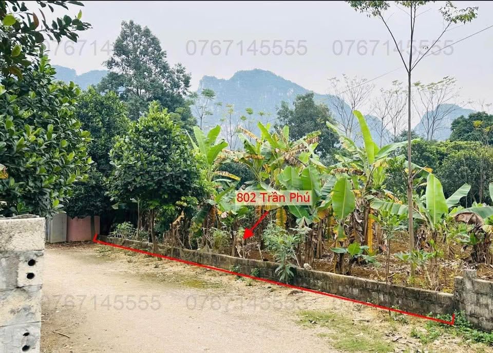 Bán thửa đất 802 m² tại Trần Phú, Chương Mỹ, ô tô đỗ tận đất