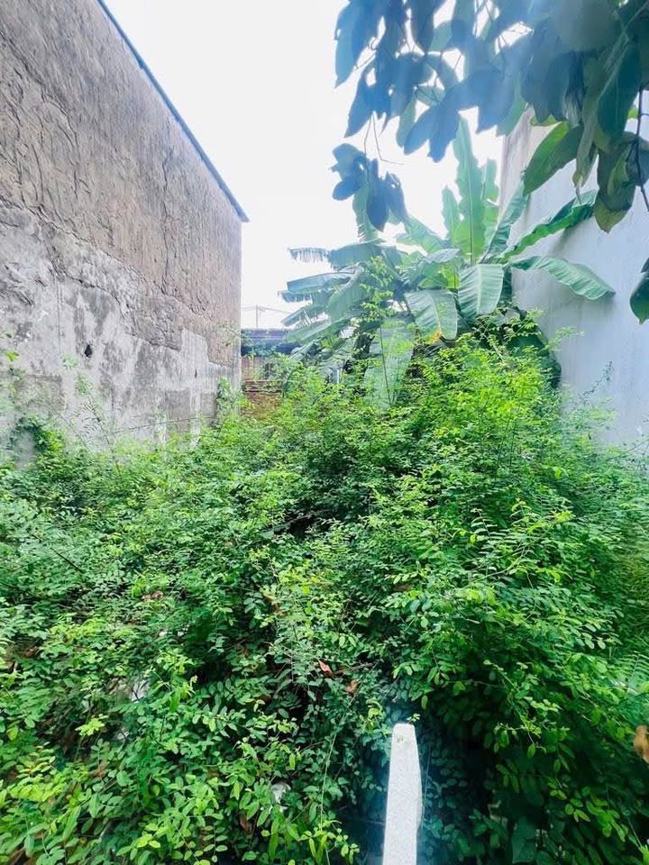 Bán đất hẻm 4m Hoàng Quốc Việt thuộc Quận 7 cũ, 66m2, giá 3.99 tỷ