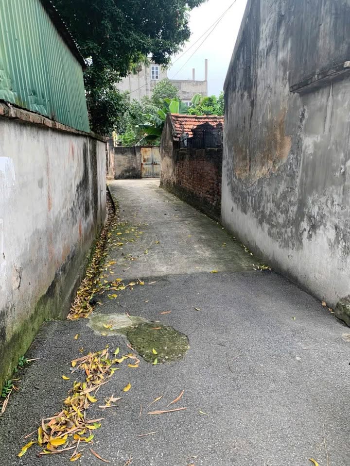 Cần bán lô đất tại trung tâm Phú Thị, Gia Lâm, ngõ ô tô vào tận cửa