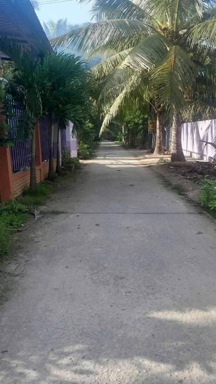 Cần ra gấp căn nhà Tân Phú Tây, Mỏ Cày Bắc, Bến Tre cũ, giá 830 triệu