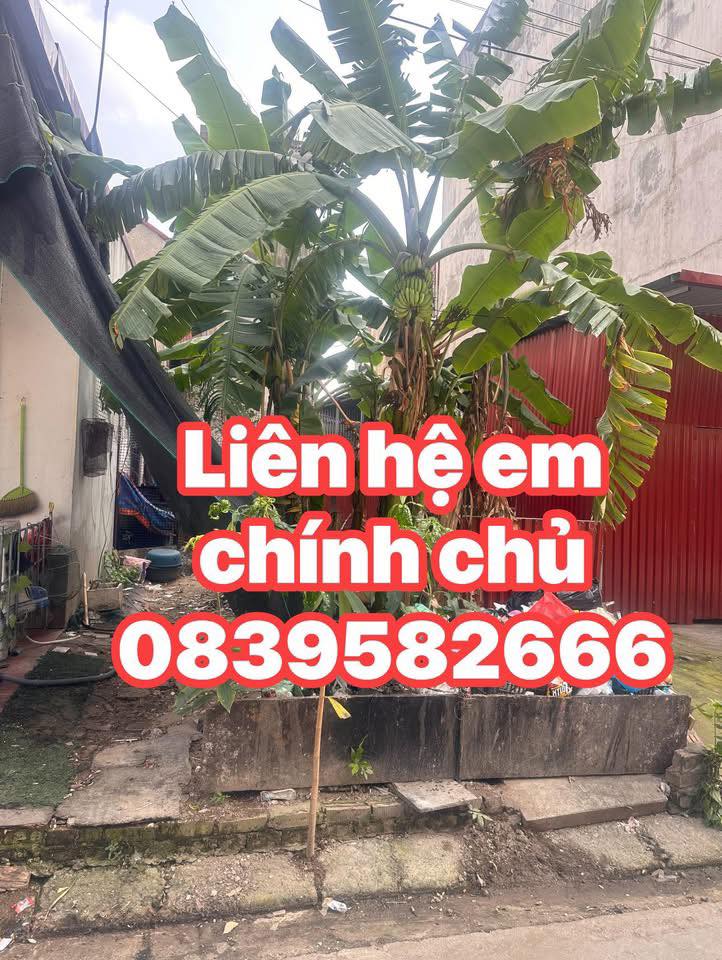 Bán lô giãn dân Bất Lự, Hoàn Sơn, gần chợ và nhìn view sân bóng đá, kinh doanh buôn bán được