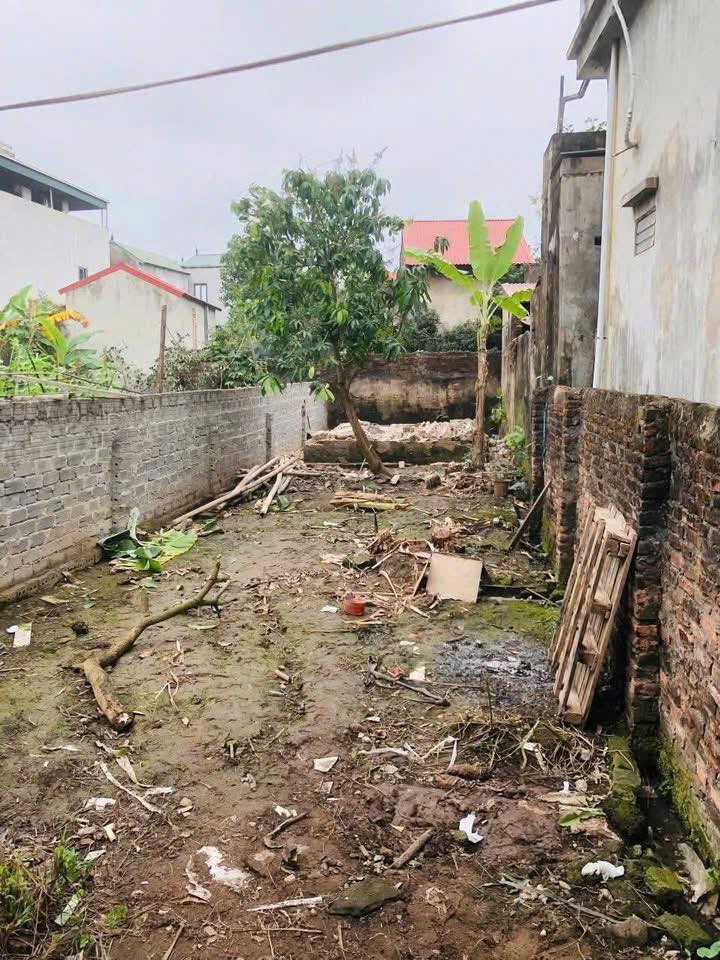 Bán đất diện tích 80,3m2 tại tại Gia Khánh, Thượng Phúc, Hà Nội