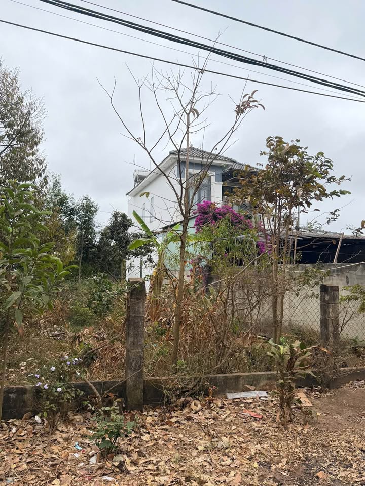 Chốt đơn liền tay, 2 lô đất mặt tiền Nguyễn Xuân Nguyên, kinh doanh bao cháy