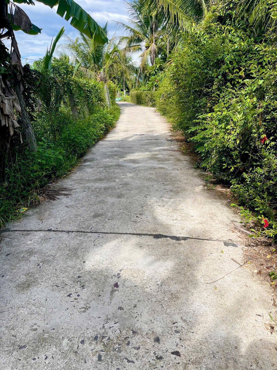 Bán đất Diên Phước, sổ sẵn, giá 799 triệu