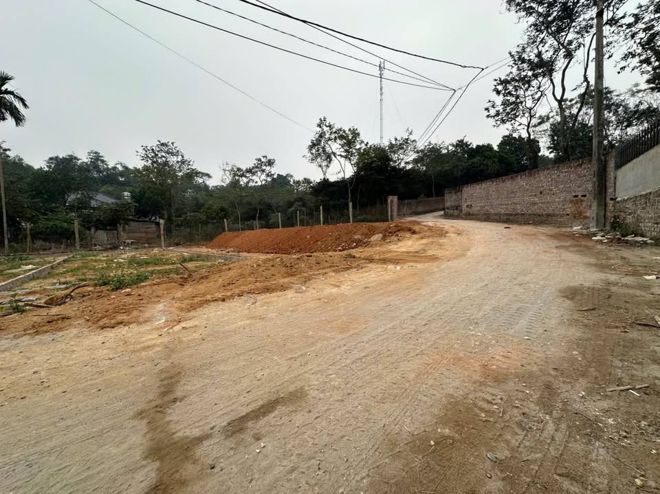 Đất vàng 95m2 thổ cư, đường rộng 2 ô tô tránh nhau tại Hoàng Hoa, Vĩnh Phúc, chỉ hơn 400 triệu