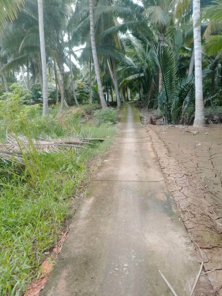 Bán đất huyện Mỏ Cày Nam, tỉnh Bến Tre giá 270 triệu