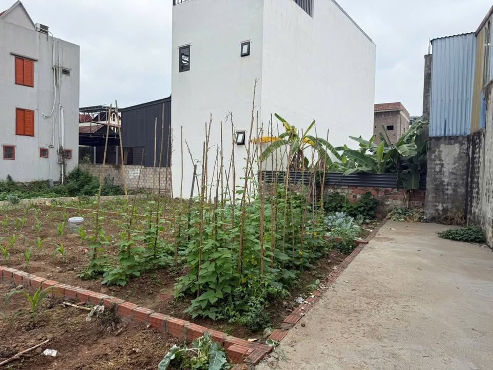 Bán đất trung tâm Lập Lễ, Hải Phòng, khu dân cư đông đúc, tiềm năng phát triển mạnh, giá 1.35 tỷ