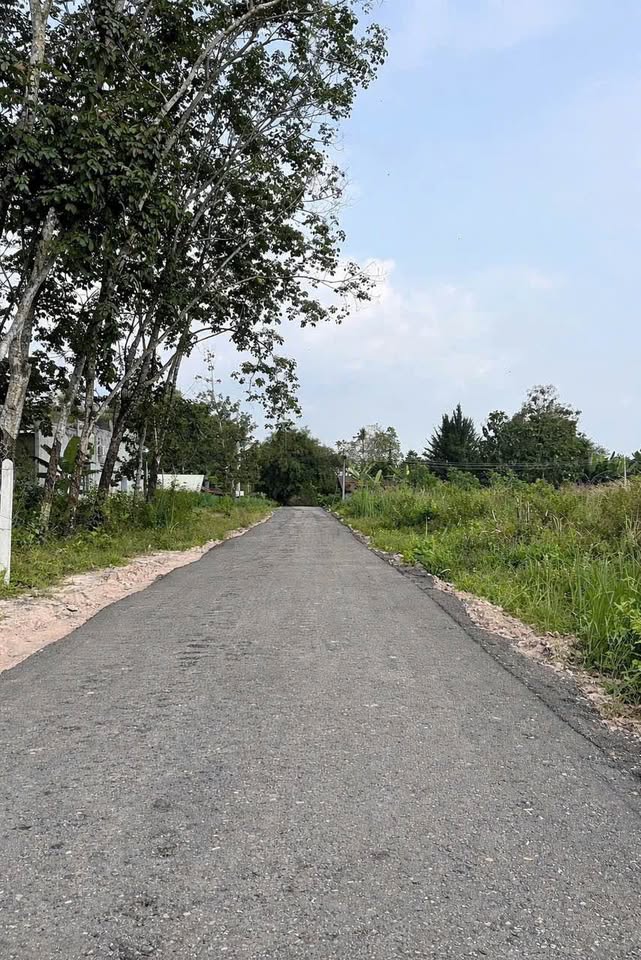 Bán 2 lô đất liền kề 115m2 thổ cư, 390triệu/lô tại Gò Dầu, Tây Ninh