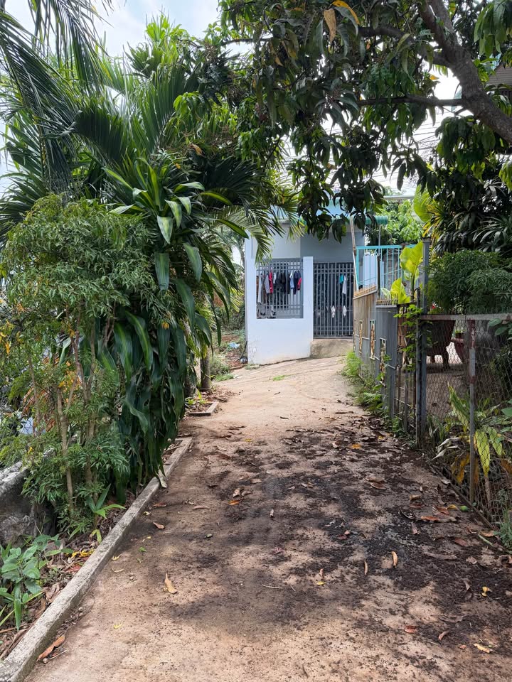 Bán nhà riêng thành phố Buôn Ma Thuột, tỉnh Đắk Lắk giá 4,2 tỷ