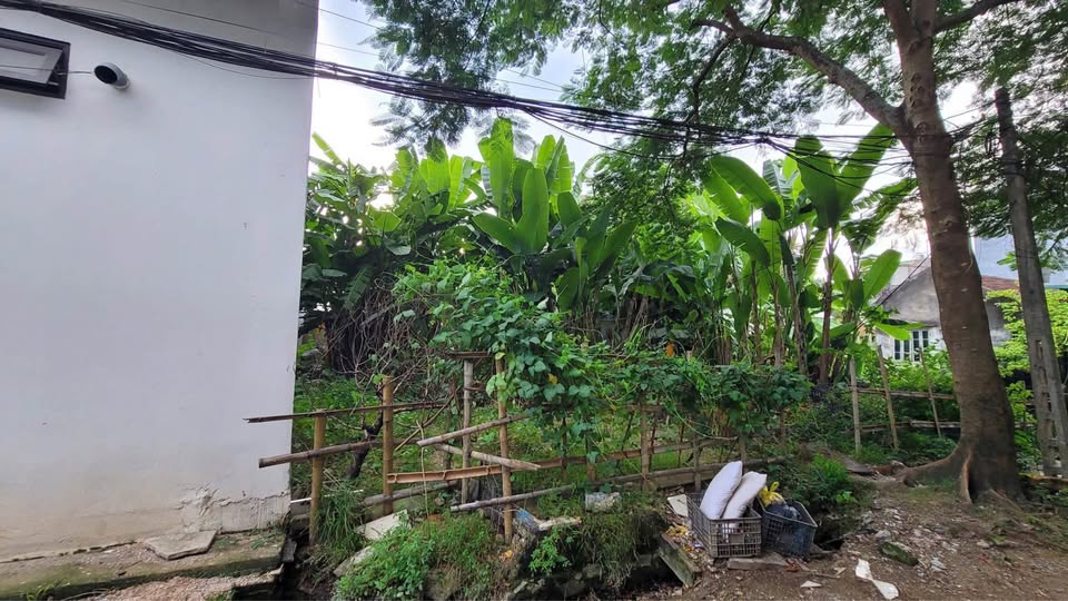 Bán đất thành phố Thanh Hóa, tỉnh Thanh Hóa giá 2,7 tỷ