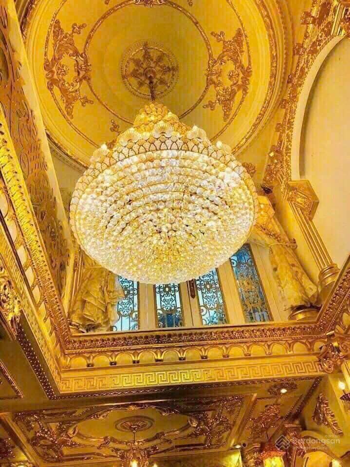 Townhouse for rent with 8 bedrooms Lam Van Ben Street, D.7. Plz contact 0901142004