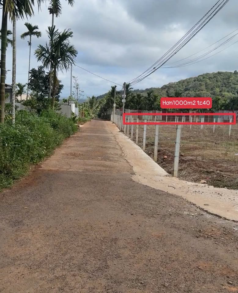 Đất 1 sào vuông vắn, bìa riêng Komleo, Hòa Thắng, đầu tư hay làm nhà vườn đều ok