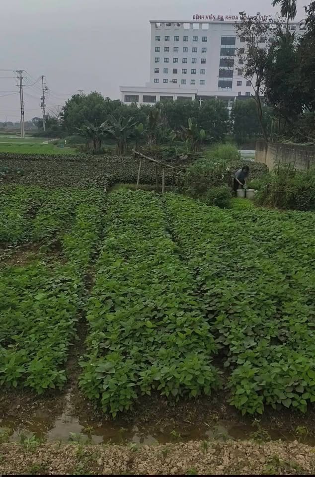 Bán đất thành phố Tuyên Quang,tỉnh Tuyên Quang giá 2,55 tỷ