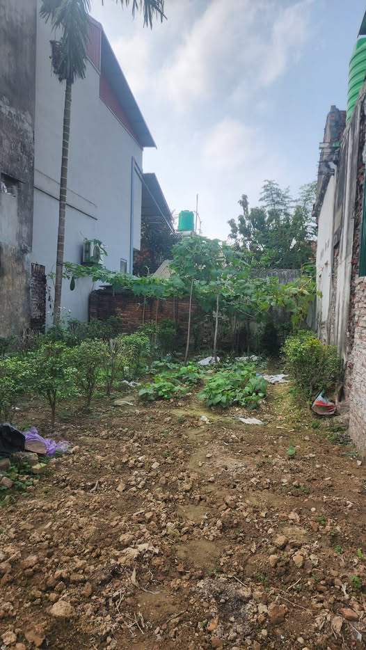 Bán đất huyện Tiên Du, tỉnh Bắc Ninh giá 3 tỷ