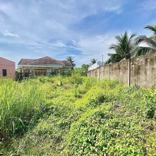 Bán đất thành phố Bến Tre, tỉnh Bến Tre giá 470 triệu