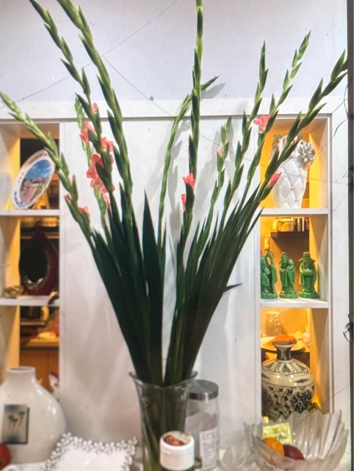 Bán nhà riêng quận Đống Đa thành phố Hà Nội, giá 6.68 tỷ