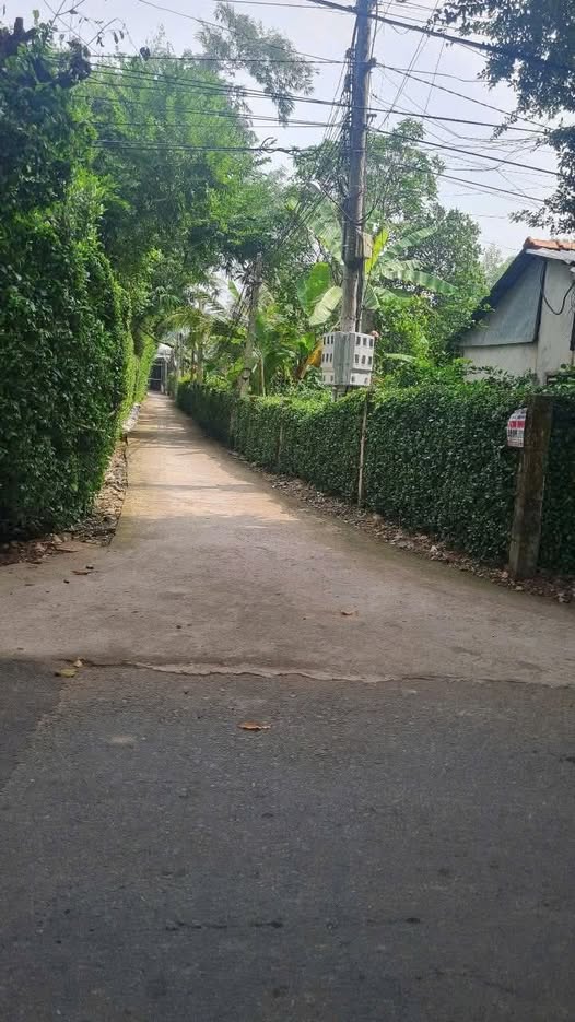 Bán nhà riêng thành phố Bến Tre, tỉnh Bến Tre giá 490 triệu