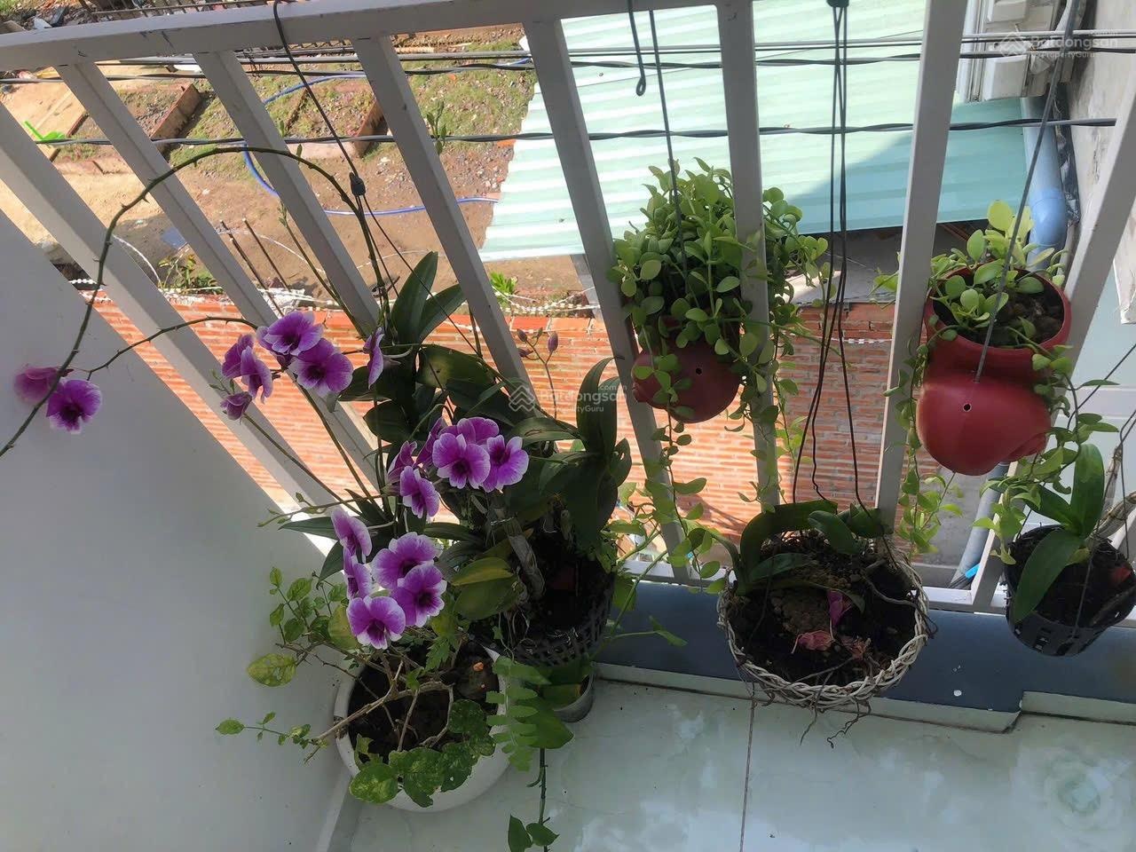 Bán nhà một trệt hai lầu SD 60m2 cách Bách Hoá Xanh chợ Đường 500 mét