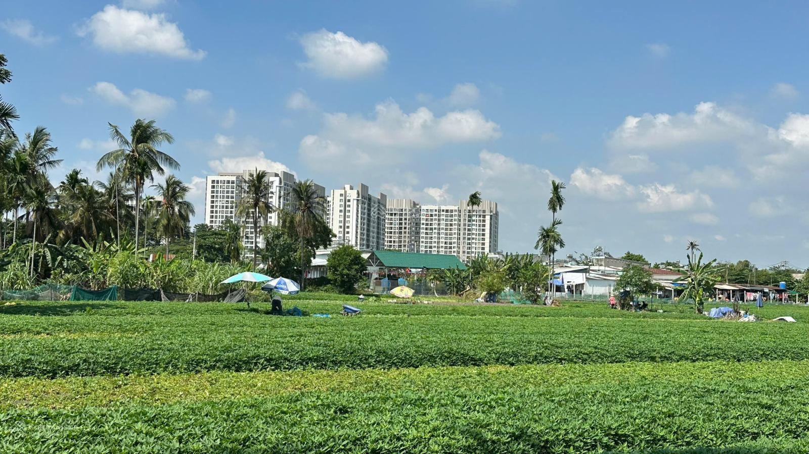 Nhà nhỏ xinh giá chỉ 1 tỷ 4 gần chung cư Hiệp Thành City, Q. 12