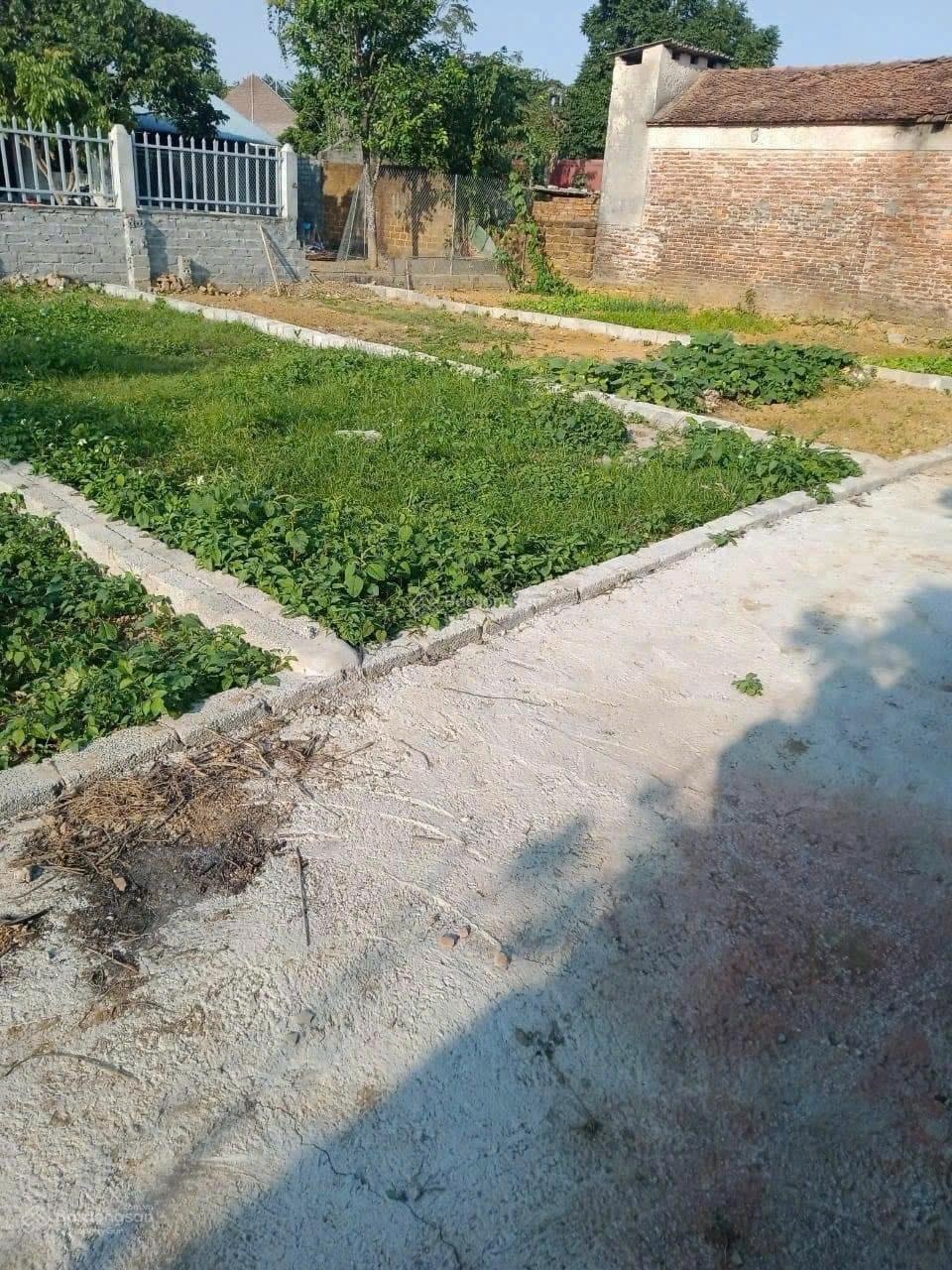 58,3m gần trường mầm non, cấp 1, cấp 2 xã Mỹ Lương. Giá đầu tư chỉ 1, x tỷ