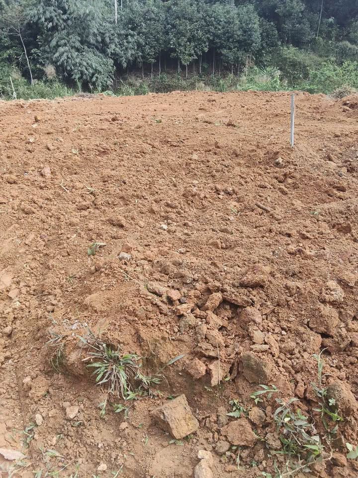 Cho thuê nhà riêng thành phố Yên Bái, tỉnh Yên Bái, giá 900 triệu