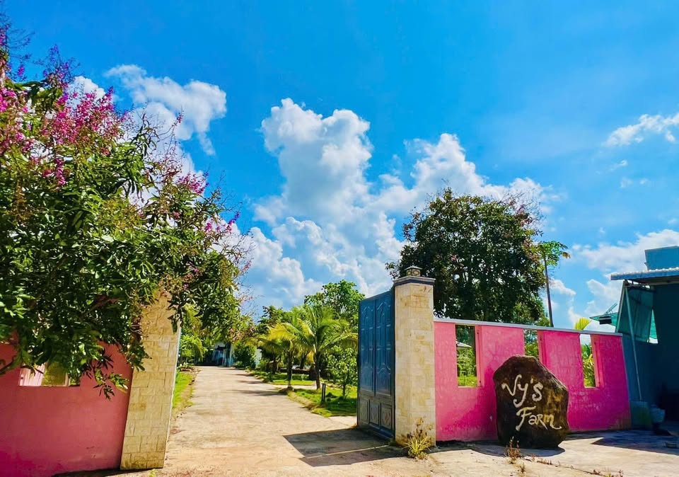 Bán nhà riêng huyện Xuyên Mộc, tỉnh Bà Rịa, Vũng Tàu giá 7 tỷ