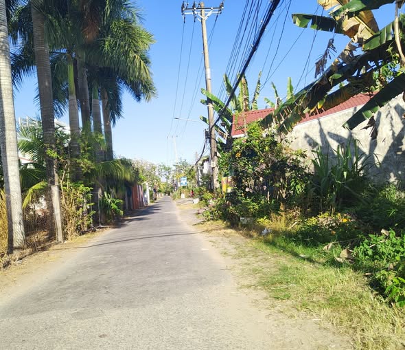 Bán đất nền đất vàng mặt tiền lộ Thống Nhất, Bến Tre, diện tích 199m², kinh doanh đỉnh cao, giá chỉ 2 tỷ