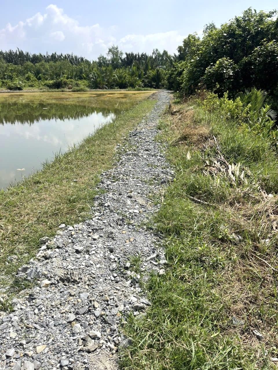 Cần bán 377m2 đất trồng cây lâu năm đường Liên ấp 2-3, xã Hiệp Phước, Nhà Bè giá 750 triệu