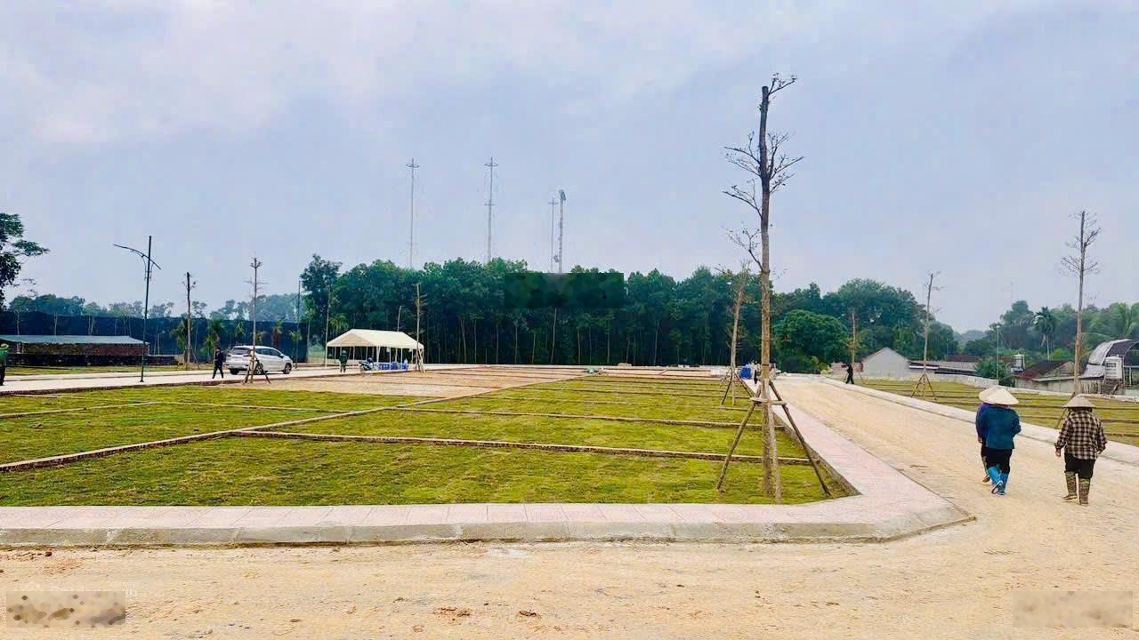 Bán đất tại phường Tùng Thiện mới, Sơn Tây, Hà Nội, 100m2, mặt tiền 8m